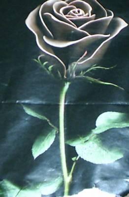 kanahdi had  lwarda  ?